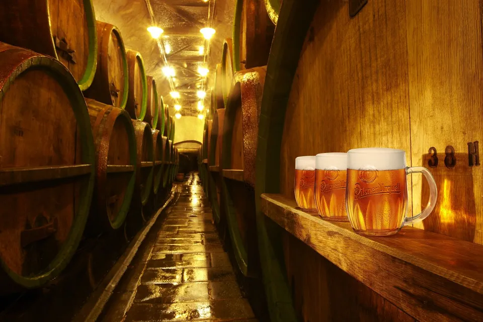 Pivní Plzeň - náhledový obrázek